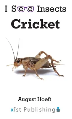 Grillo - Cricket