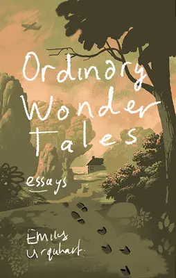 Cuentos maravillosos - Ordinary Wonder Tales