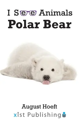 Oso polar - Polar Bear