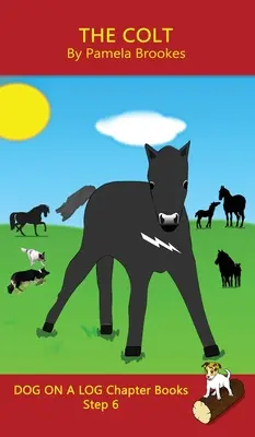 The Colt Chapter Book: Libros de fonética que ayudan a los lectores en desarrollo, incluyendo a los estudiantes con dislexia, a aprender a leer (Paso 6 en un Sistema de Lectura). - The Colt Chapter Book: Sound-Out Phonics Books Help Developing Readers, including Students with Dyslexia, Learn to Read (Step 6 in a Systemat