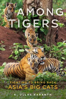 Entre tigres: La lucha por la recuperación de los grandes felinos asiáticos - Among Tigers: Fighting to Bring Back Asia's Big Cats