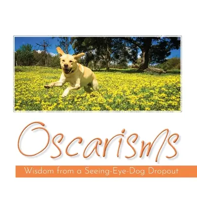 Oscarismos - Oscarisms