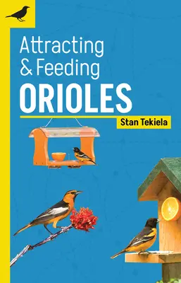 Cómo atraer y alimentar a los Orioles - Attracting & Feeding Orioles