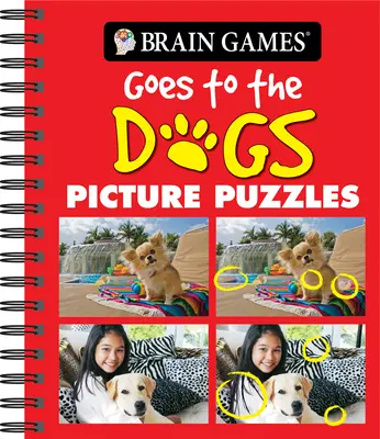 Juegos de ingenio - Puzzles de imágenes: La vida en el mar - Brain Games - Picture Puzzles: Goes to the Dogs