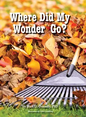 ¿Adónde se fue mi maravilla? - Where Did My Wonder Go?