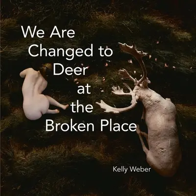 Somos Cambiados a Ciervos en el Lugar Roto - We Are Changed to Deer in the Broken Place