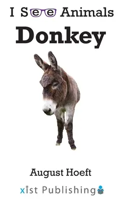 Burro - Donkey