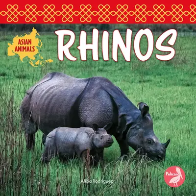 Rinocerontes - Rhinos