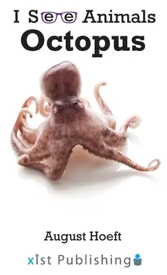 Pulpo - Octopus