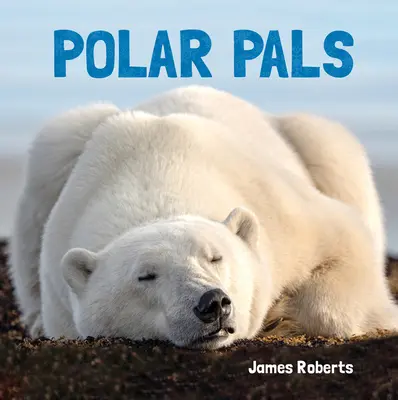 Amigos polares - Polar Pals