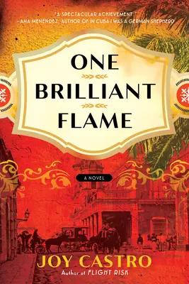 Una Llama Brillante - One Brilliant Flame