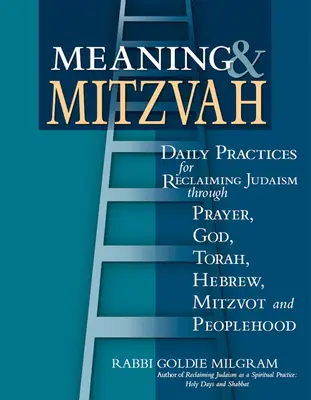 Significado y Mitzvá: Prácticas diarias para recuperar el judaísmo a través de la oración, Dios, la Torá, el hebreo, las mitzvot y el pueblo - Meaning & Mitzvah: Daily Practices for Reclaiming Judaism Through Prayer, God, Torah, Hebrew, Mitzvot and Peoplehood