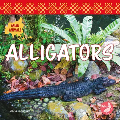 Caimanes - Alligators