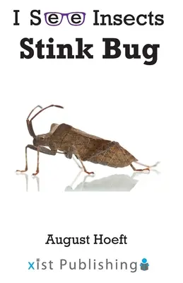 Chinche apestosa - Stink Bug