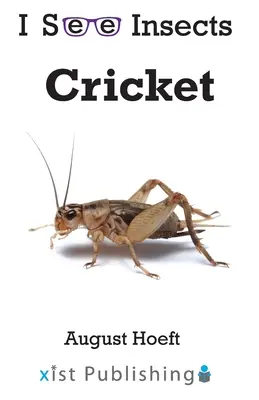 Grillo - Cricket