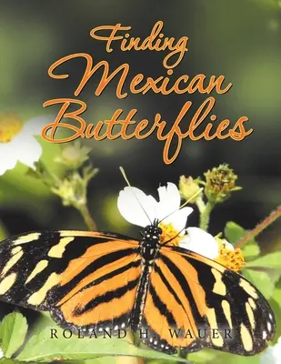 En busca de las mariposas mexicanas - Finding Mexican Butterflies