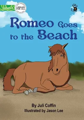 Romeo va a la playa - Nuestro Aprendizaje - Romeo Goes to the Beach - Our Yarning