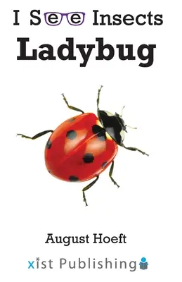 Mariquita - Ladybug