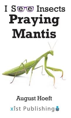 Mantis religiosa - Praying Mantis