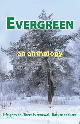 Siempre verde - Evergreen