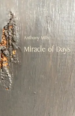 El milagro de los días - Miracle of Days