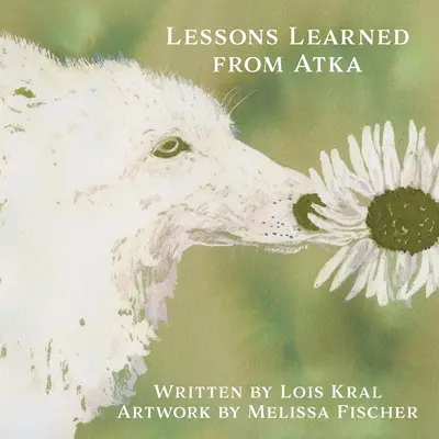 Lecciones aprendidas de Atka - Lessons Learned from Atka