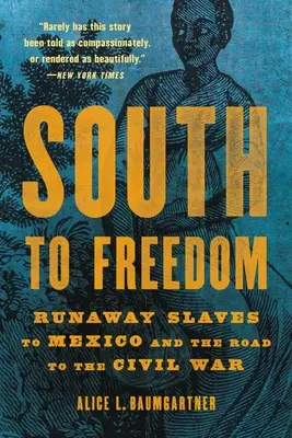 South to Freedom: Esclavos fugitivos a México y el camino a la Guerra Civil - South to Freedom: Runaway Slaves to Mexico and the Road to the Civil War