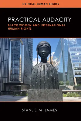 Practical Audacity: Las mujeres negras y los derechos humanos internacionales - Practical Audacity: Black Women and International Human Rights