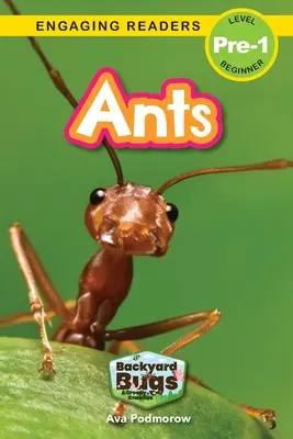 Hormigas: Bichos del jardín y bichos espeluznantes (Lectores motivadores, nivel Pre-1) - Ants: Backyard Bugs and Creepy-Crawlies (Engaging Readers, Level Pre-1)