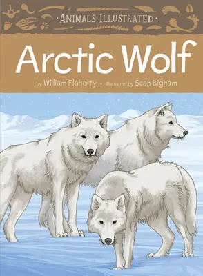 Animales Ilustrados: El lobo ártico - Animals Illustrated: Arctic Wolf