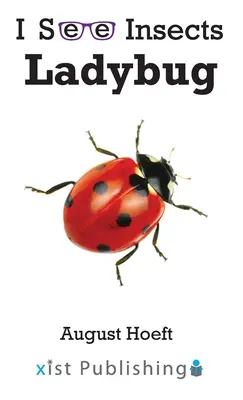 Mariquita - Ladybug