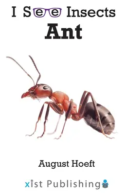 Hormiga - Ant