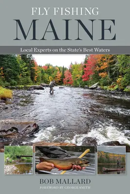 Pesca con mosca en Maine: Expertos locales en las mejores aguas del estado - Fly Fishing Maine: Local Experts on the State's Best Waters