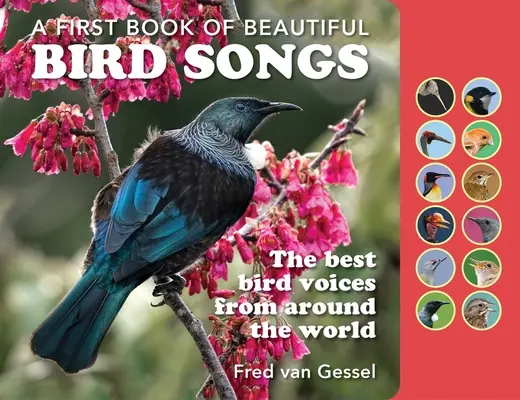 Un libro de bellos cantos de pájaros: Las mejores voces de pájaros de todo el mundo - A Book of Beautiful Bird Songs: The Best Bird Voices from Around the World