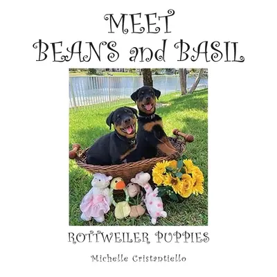 Conozca a Beans and Basil - Meet Beans and Basil