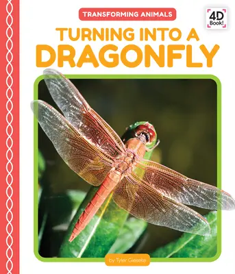 Convertirse en libélula - Turning Into a Dragonfly