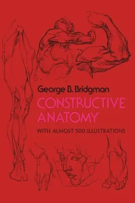 Anatomía constructiva - Constructive Anatomy