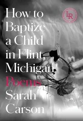 Cómo bautizar a un niño en Flint, Michigan: Poemas - How to Baptize a Child in Flint, Michigan: Poems