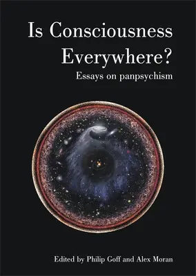 ¿Está la conciencia en todas partes? Ensayos sobre el panpsiquismo - Is Consciousness Everywhere?: Essays on Panpsychism
