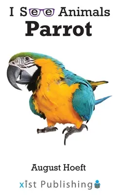 Loro - Parrot