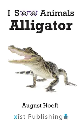 Caimán - Alligator