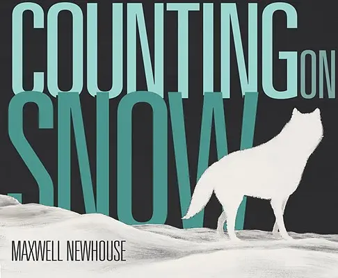 Contando con la nieve - Counting on Snow