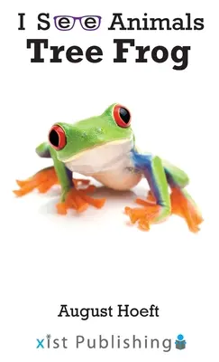 Rana de árbol - Tree Frog