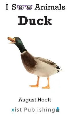 Pato - Duck
