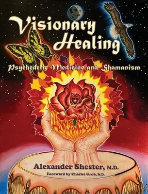 VISIONARY HEALING Medicina psicodélica y chamanismo - VISIONARY HEALING Psychedelic Medicine and Shamanism