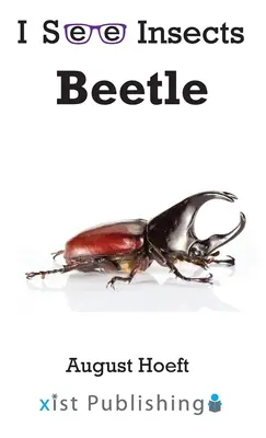 Escarabajo - Beetle