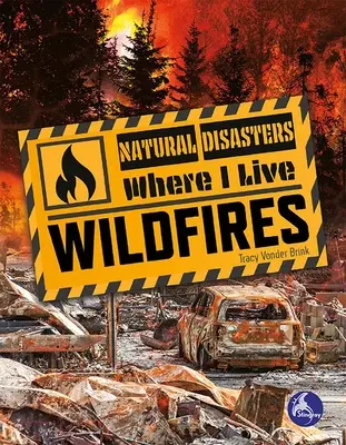 Incendios forestales - Wildfires