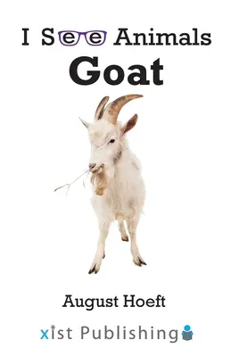 Cabra - Goat