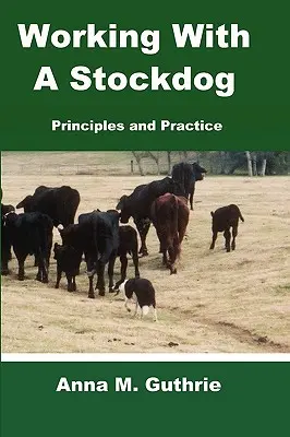 Trabajar con un perro pastor - Working with a Stockdog