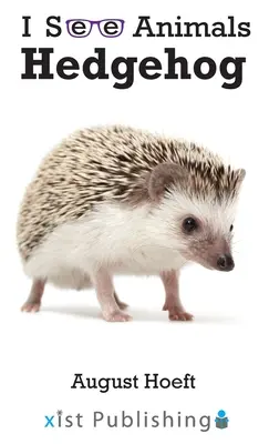 Erizo - Hedgehog
